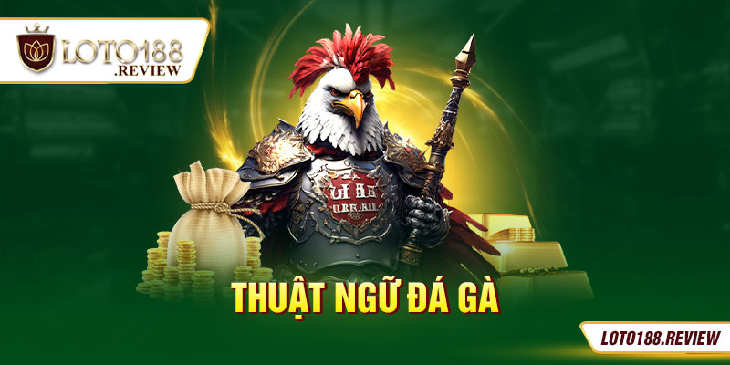 thuật ngữ đá gà