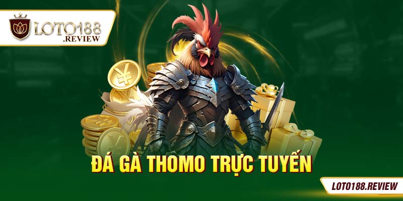 đá gà thomo trực tuyến